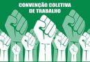 Trabalhadoras(es) de Administradoras de Consórcios terão 6,13% de reajuste retroativo a 1º de agosto